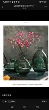 Simple and fashionable small vase Specification image